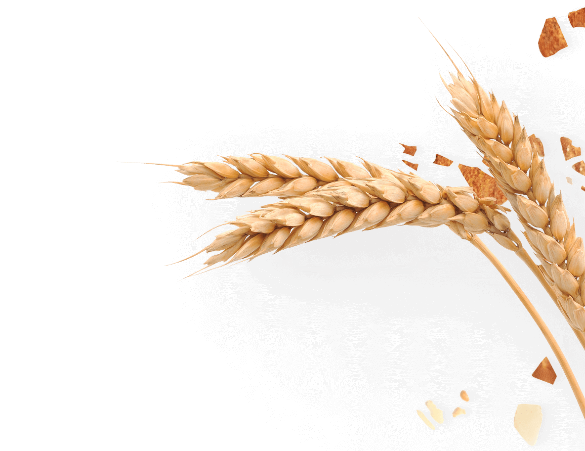 wheat-almonds